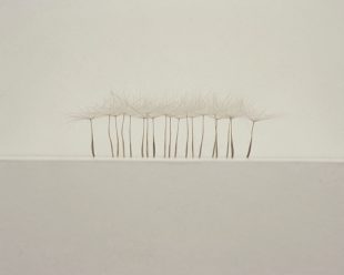 Christiane Löhr, Piccola adunata, 1999