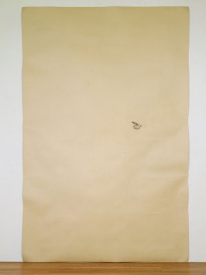 Giovanni Anselmo, Il panorama con la mano che lo indica, 1981. Photo credit: Steven Tucker
