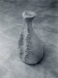 Giuseppe Penone, Senza Titolo, 1978