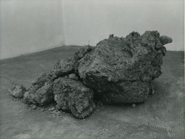 Giuseppe Penone, Senza Titolo, 1978