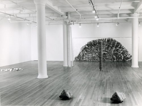 Giuseppe Penone, Installation view, 1982. Photo credit: Steven Tucker