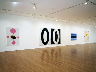 New York Abstract Painting, Joanne Greenbaum, David Row, Mary Heilmann, Craig Fisher, Installation view, 1994