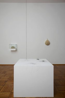 Christiane Löhr, Installation view, 2008. Photo credit: Bart Hermann