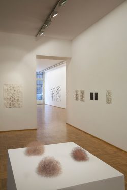 Christiane Löhr, Installation view, 2008. Photo credit: Bart Hermann