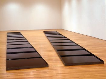 Pino Pascali, Confluenze, 1967