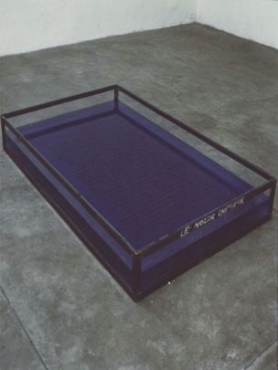 Rebecca Horn, Le nozze chimiche, 1977