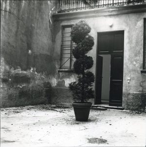 Installation view, 1980