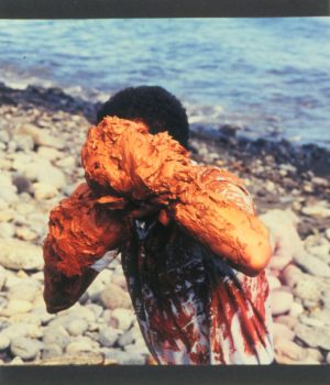 Thierry Fontaine, Sculpture 6 (La Réunion), 1998
