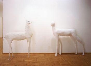 Filippo La Vaccara, Installation view, 2000